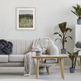 thumbnail image 3 of Stupell Industries French Country Sunlit Meadow of White Daisies Birch Framed Print Under Glass, 13 x 16, by Amber Sterling, 3 of 8