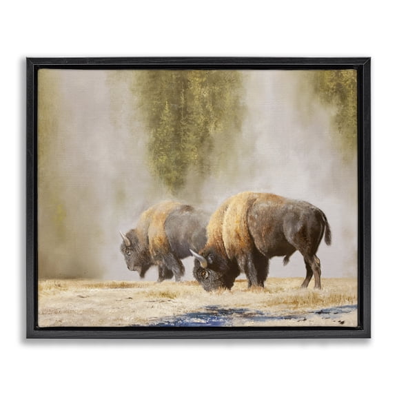 Stupell Industries Traditional Bison Wildlife Photography Black Floating Frame Canvas Art, 21 x 17, by Mark Kelso