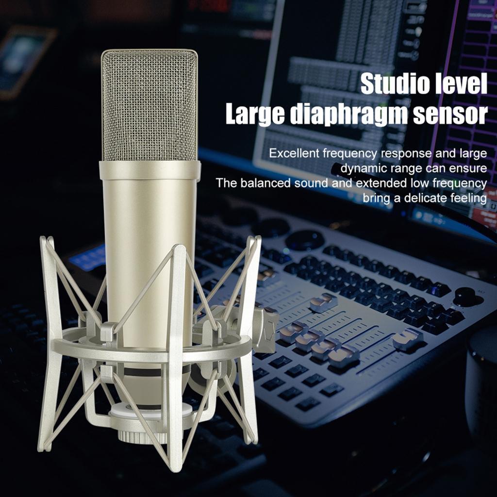 High Sensitivity Condenser Microphones Noise Reductions XLR Interfaces For Home Studio