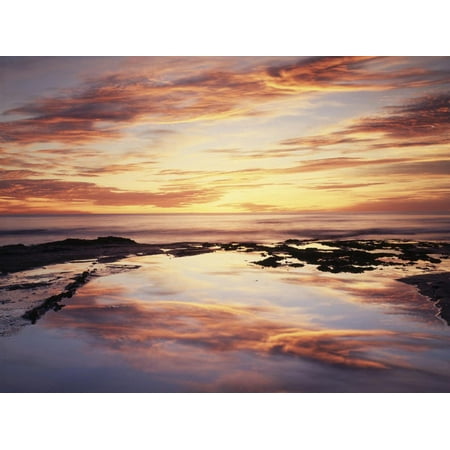 California, San Diego, Sunset Cliffs, Sunset Reflecting in a Tide Pool Print Wall Art By Christopher Talbot