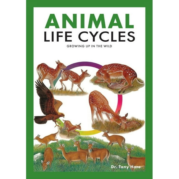 Animal Life Cycles: Discovering How Animals Live in the Wild, (Paperback)