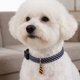 thumbnail image 4 of WHAMVOX 2Ud Collar Pet Ajustable Para Perros Y En Azul Con Material Transpirable Y Suave, 4 of 8