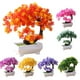 thumbnail image 1 of Gwong Decoración hogareña Simulación Fake Potted Bonsai Tree Artificial Planta de escritorio Ornamento Decoración para el hogar Gwong 21006284, 1 of 6