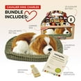 thumbnail image 4 of Perfect Petzzz Original Petzzz Cavalier King Charles, Realistic, Lifelike Stuffed Interactive Pet Toy, Companion Pet Dog with 100% Handcrafted Synthetic Fur, 4 of 7