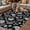 Black, variant on Grey Paisley Outdoor Rug for Patio/Deck/Porch, Non-Slip Large Area Rug 5 x 8 Ft, Ethnic Vintage Floral Botanical Abstract Indoor Outdoor Rugs Washable Area Rugs, Reversible Camping Rug Carpet Runner