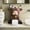 bathroom decor, variant on Highland Cow Decorative Ornament Desktop Figurine, Animal Statue For Bathroom Living Room Office Desk, Unique Home Decor Accent, Desktop Ornament A1Pc
