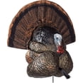 thumbnail image 1 of Flextone Chasse Léger Ultra Réaliste Réaliste Plastique Extérieur Tonnerre Gobbler Dinde Leurre, 1 of 8