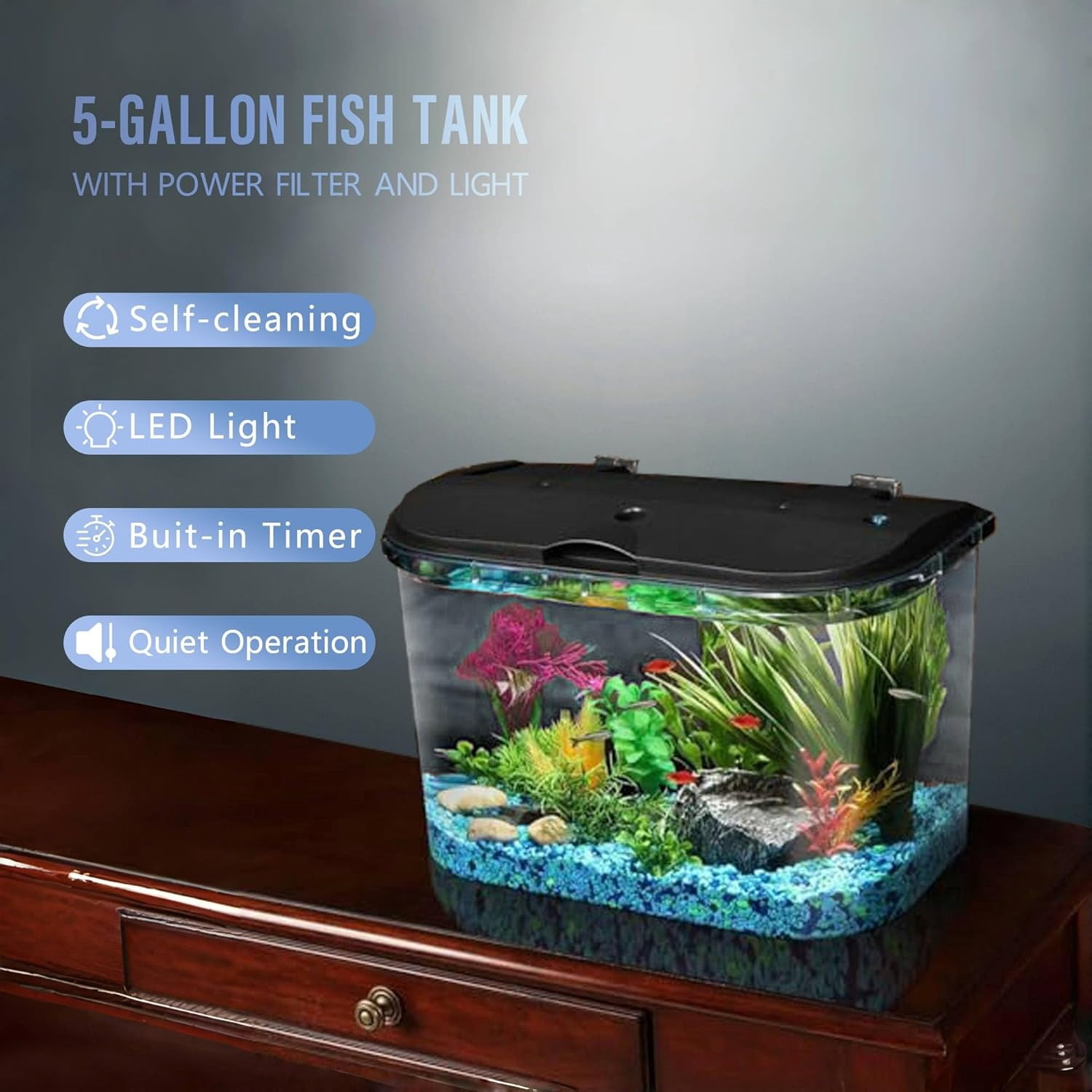 5-Gallon Aquarium Kit with LED Lighting and Power Filter, Ideal for a Variety of Tropical Fish