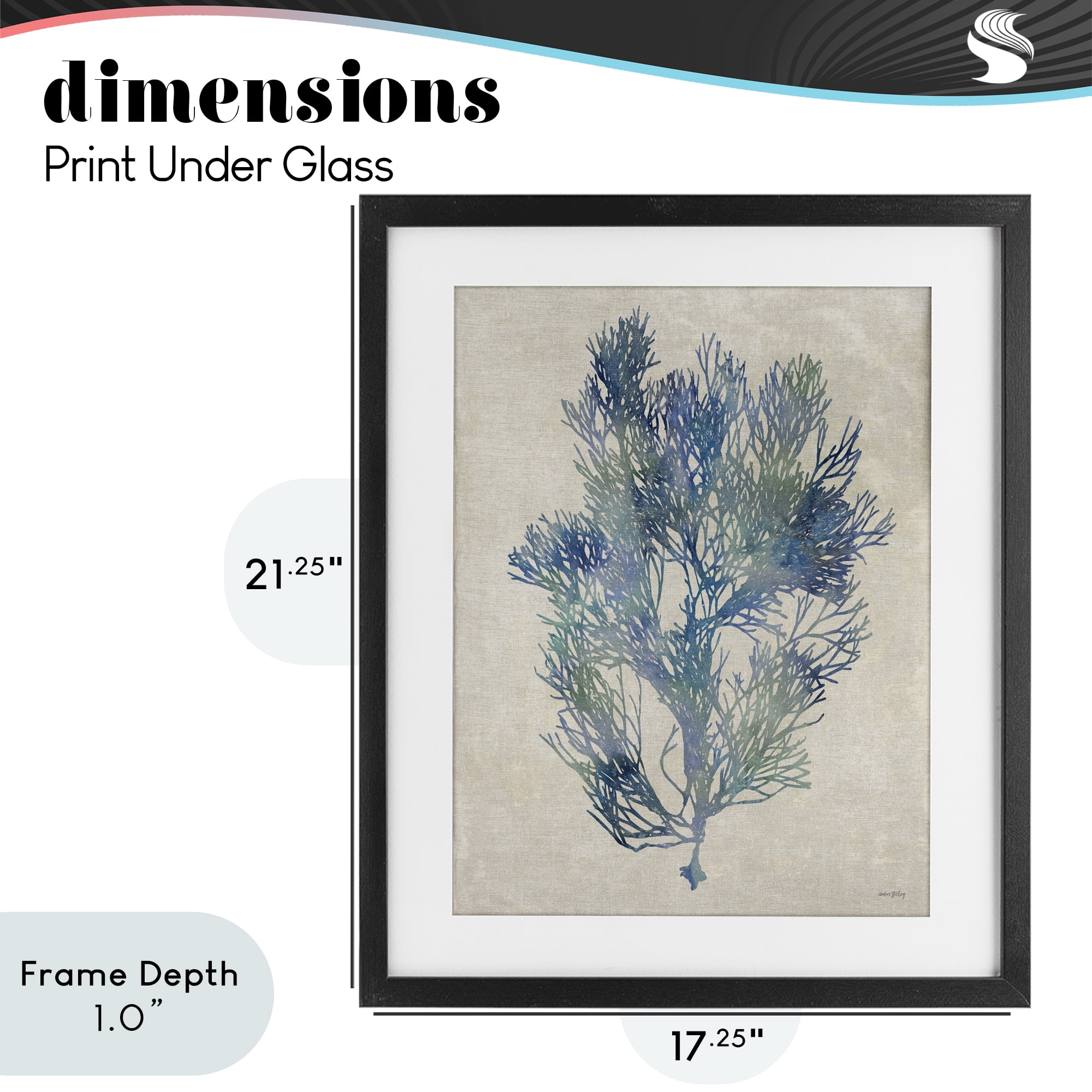 Stupell Industries Misty Blue Coral Study Black Framed Print Under Glass, design by Amber Sterling