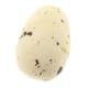 thumbnail image 3 of 10 huevos de pájaro artificiales para nido de Pascua, decoración moteada. Amarillo l, 3 of 9
