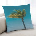 thumbnail image 1 of Ahgly Company Plants Palm Tree Coussin d'Intérieur, 18 Pouces par 18 Pouces, 1 of 6