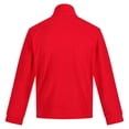 thumbnail image 3 of Regatta Professional - Chaqueta polar modelo Thor 300 para hombre (Rojo), 3 of 3