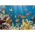 thumbnail image 2 of wall26 - Coral and Fish in The Red Sea.Egypt - Removable Wall Mural | Self-Adhesive Large Wallpaper - 66x96 inches, 2 of 6