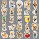 thumbnail image 4 of Pegatinas de vinilo impermeable para perros Yorkshires Terriers, 50 unidades por lote, 4 of 5