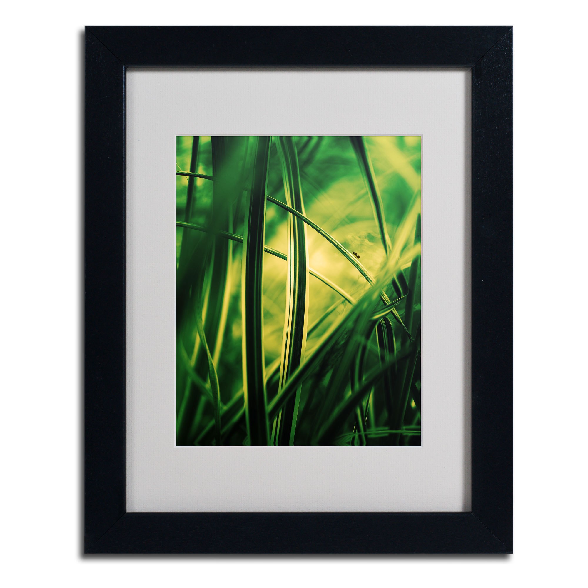 Trademark Philippe Sainte-Laudy "Miniature" Art White Matte With Black Frame 16" x 20"