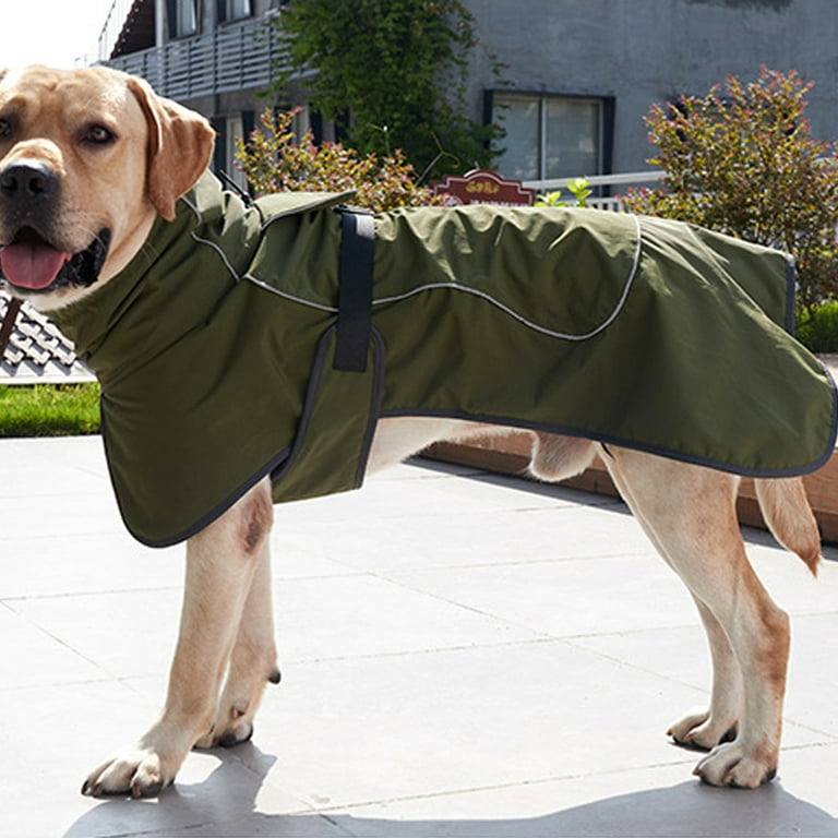 Big store belly coat