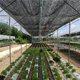 thumbnail image 4 of Sun Bloqueador Solar Al Aire Libre JardÍN Anti-UV Protector Sombras Velas Tela De rojo para la Planta Invernadero Coche 2x3m, 4 of 5