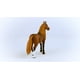 thumbnail image 5 of Figura Schleich Horse Club 2023 Auténtica majestuosa peruana Pasos Mare, 5 of 6