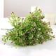 thumbnail image 4 of Ramos de Flores Artificiales onlyliua para Hogar Oficina Bodas, 4 of 7