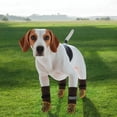 thumbnail image 7 of Unique Bargains 4 Pcs Non-Slip Useful Dog Socks with Reflective Tapes Gray XL, 7 of 7