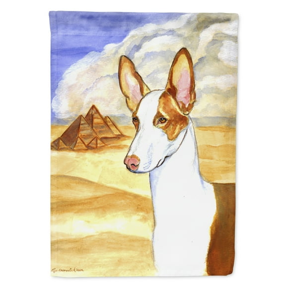 Carolines Treasures 7031-FLAG-PARENT Ibizan Hound Flag multicolor