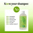 thumbnail image 6 of Clarifying Shampoo for Build Up & Oily Hair - Tea Tree Shampoo for Men and Women with Rosemary Essential Oil for Oily Hair and Scalp - Color Safe Vegan Sulfate Silicone & Paraben Free (10 Fl Oz), 6 of 8