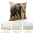thumbnail image 4 of JRXY  African Elephant Printed Pillow Cover Decorative Throw Pillow Cover Square Cushion Cover White, 4 of 5