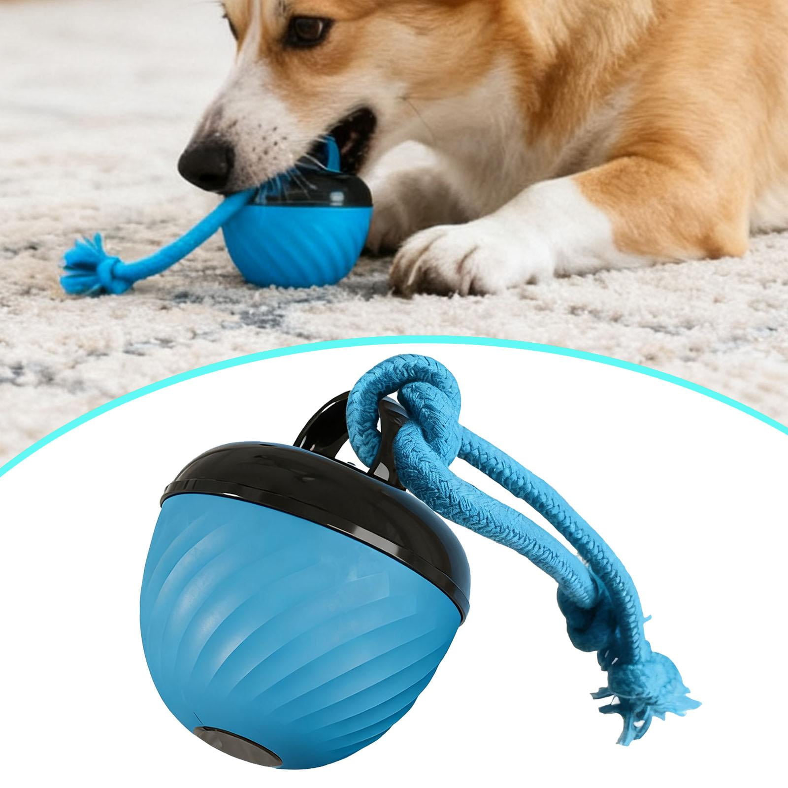 Fzaqwen Interactive Dog Toy Ball Active Rolling Automatic Smart Rolling Pet Toy Ball Blue