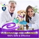 thumbnail image 4 of Tratamiento antipulgas para perros, collar antipulgas para perros, collar antipulgas ajustable para perros, protección contra garrapatas de 8 meses para cachorros, collar antipiojos y garrapatas Sincero Electrónica, 4 of 4