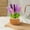 Multicolor 3 Home Decor, variant on Big Savings karymi Hand Potted Plant Unique Hand Crafted for Home and Office Desk Decor for Teachers Moms Friend Gifts for Men Bedroom Decor Gifts for Mom