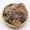 Brown, variant on Tucknest Artificial Moss, 0.35 oz Faux Moss for Crafts, Preserved Natural Dry Moss for Potted Plants Home Decor, Gray