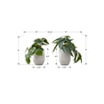 thumbnail image 3 of Artificial Plant - 8" Tall - Indoor - Table - Potted - Set Of 2 - Green Leaves, 3 of 8