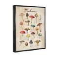 thumbnail image 3 of Stupell Industries Vintage Mushroom Types Diagram Landscape Painting Black Floater Framed Art Print Wall Art, 3 of 6