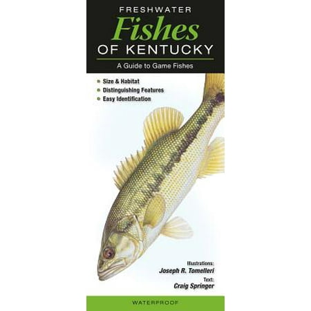Freshwater Fishes of Kentucky (Best Places To Fish In Kentucky)