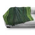 thumbnail image 3 of Exotic Soft Flannel Fleece Throw Blanket, Stems with Leaves Exotic Lands Fantasy Garden Ecology Theme, Cozy Plush for Indoor and Outdoor Use, 50" x 60", Apple Green Dark Green, by Ambesonne, 3 of 6