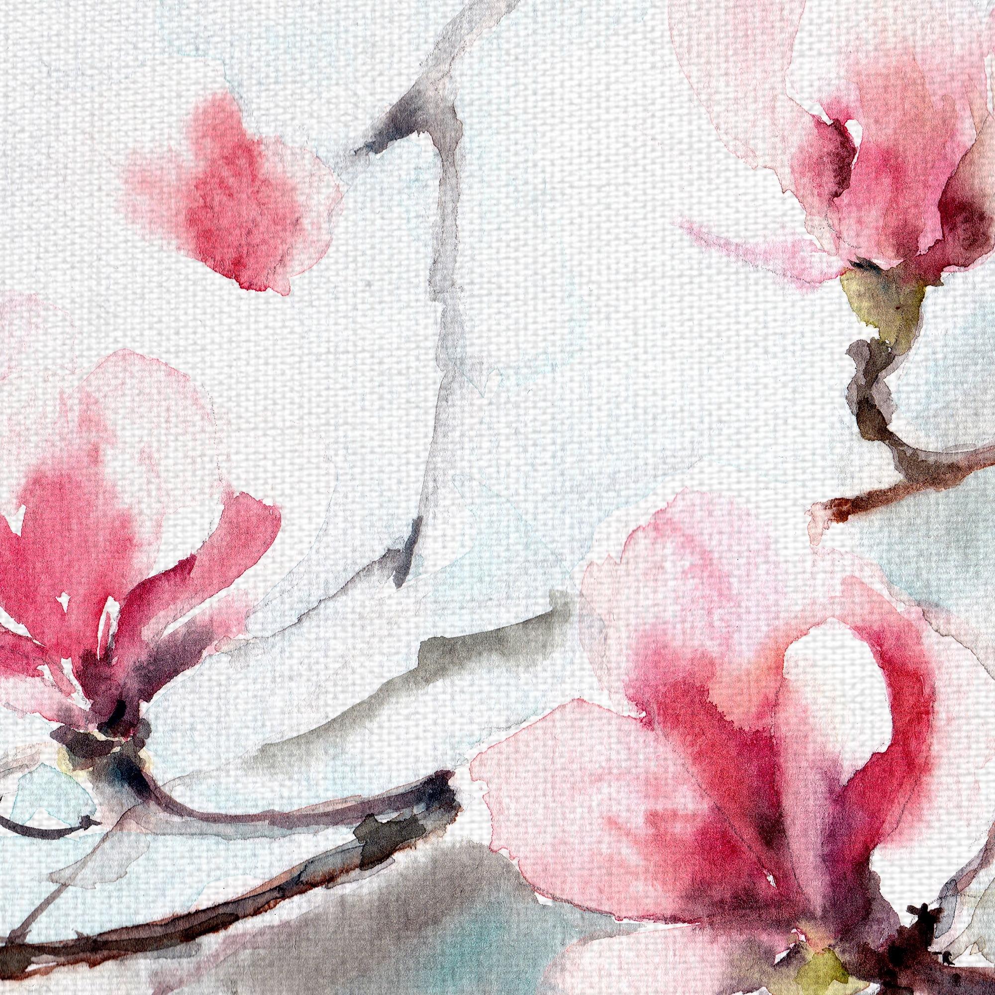 Masterpiece Art Gallery Spring Magnolia Cherry Blossoms By Canotstop Canvas Art Print 22" x 28"