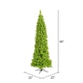 thumbnail image 2 of Vickerman 5.5' Flocked Lime Pencil Fir Artificial Christmas Tree, Unlit, 2 of 3