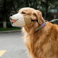 thumbnail image 5 of Adjustable Canvas Dog Muzzle Set Breathable Chew with Reflective Straps for Control & Outdoor, 5 of 5