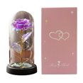 thumbnail image 1 of Rosa preservada en cúpula con luz LED, rosa artificial eterna, regalo para ella, mamá, mujer, San Valentín, Día de la Madre, Navidad, cumpleaños, 1 of 7