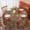 Pioneer Flower Floral-3, variant on Pioneer Flower Floral Print Pattern Round Tablecloth 60 X 60 Inch, Wrinkle Resistant Wipeable Table Cloth for Kitchen Dining Picnic Patio Party