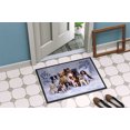 thumbnail image 4 of Carolines Treasures BDBA316AJMAT Winter Dogs Indoor or Outdoor Mat- 24 x 36, 4 of 4