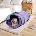 thumbnail image 3 of Túnel para gatos Ticfox Juguete del Túnel plegable Zanahoria Pepino Berenjena, 3 of 9