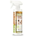 thumbnail image 2 of EcoVenger Flea & Tick Removal Spray 16 oz for Dogs and Cats, Protects from Fleas, Mites, Ticks & Mosquitoes, 2 of 12