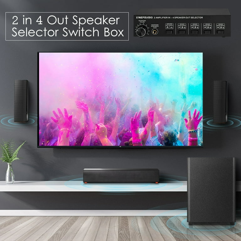 Smart speaker cheap selector switch