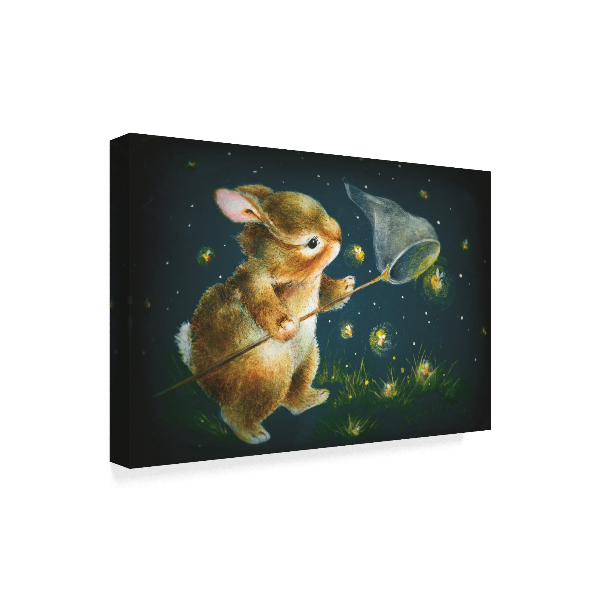 Trademark Fine Art 'Light Show' Canvas Art by Peggy Harris