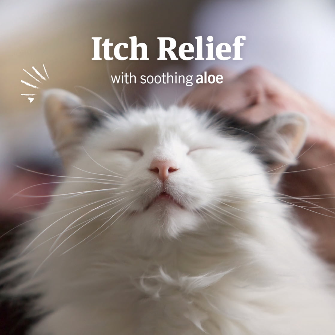 PETARMOR Ear Mite & Tick Treatment for Cats