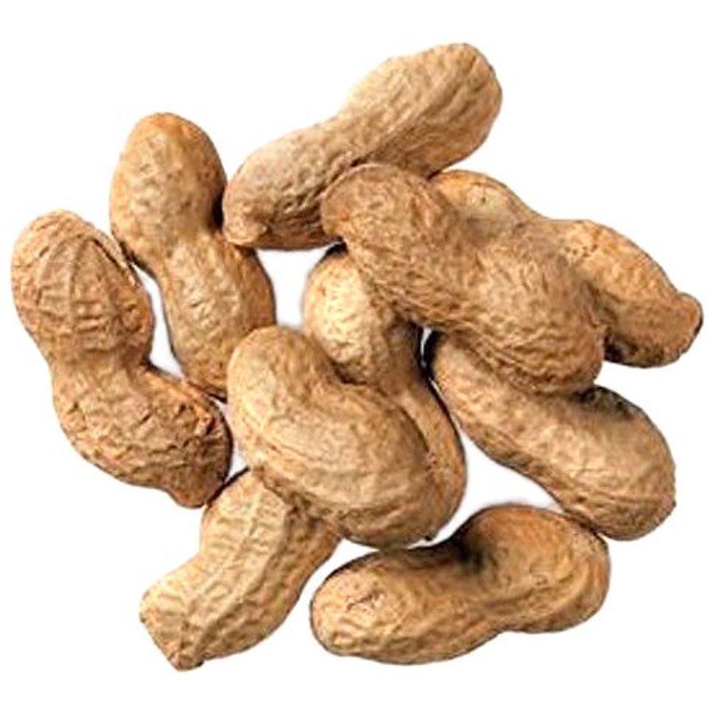 Hoody's Roasted & Unsalted Peanut in Shell, 24 Oz