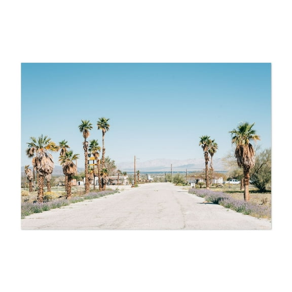 Palms, Desert Center - California Photography Unframed Wall Art Print 5 x 7 inches