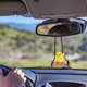 thumbnail image 4 of Adorno colgante de pato oscilante para coche, bonitos accesorios de coche para Interior de mujer, accesorios para espejo retrovisor, 4 of 5