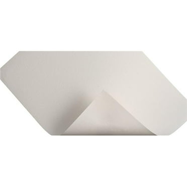 Arches 516-126 52.5 in. x 10 Yard En-Tout-Cas, White - Pack of 5